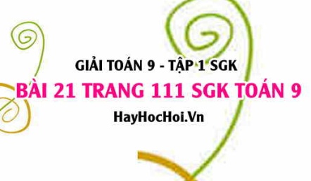 Giải bài 21 trang 111 SGK Toán 9 tập 1